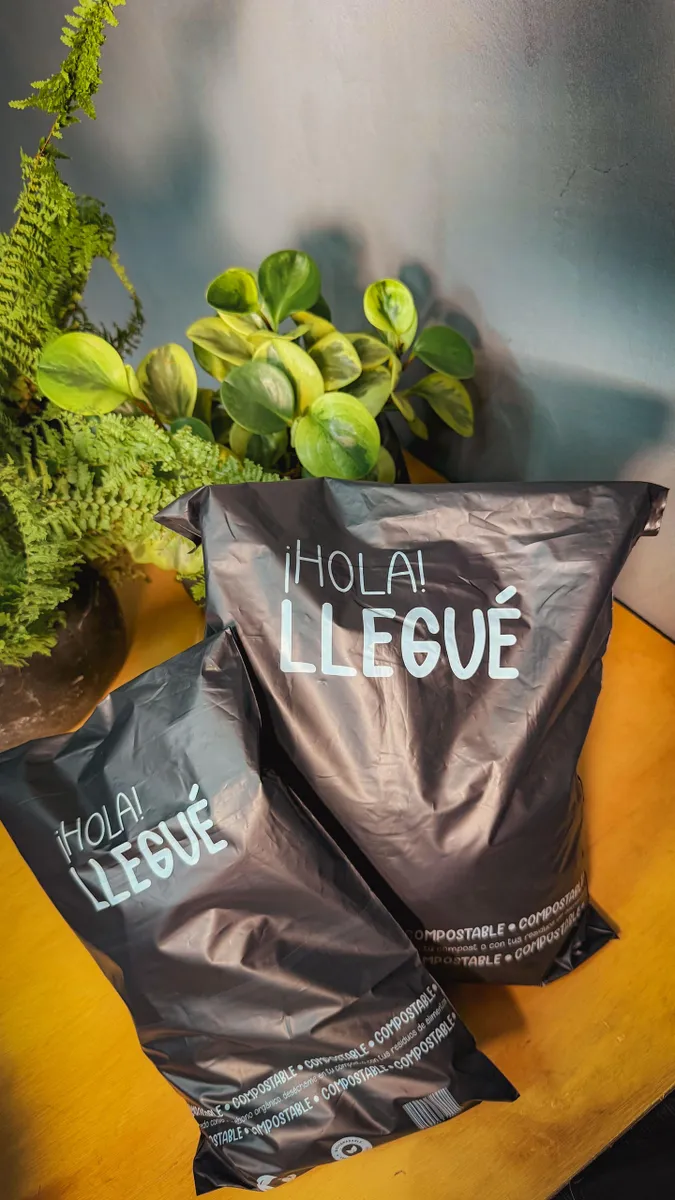 Bolsa E-commerce 17*30 Biodegradable X 50