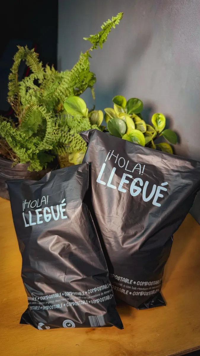 Bolsa E-commerce 25*35 cm Biodegradable X 50