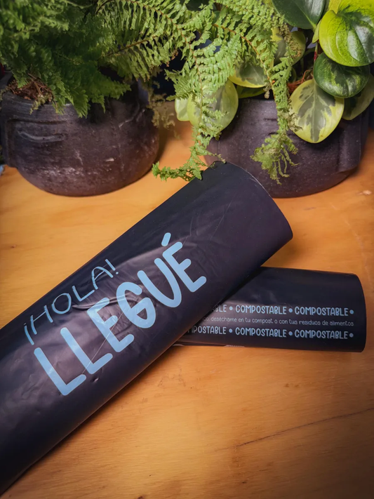 Bolsa E-commerce 17*30 Biodegradable X 50